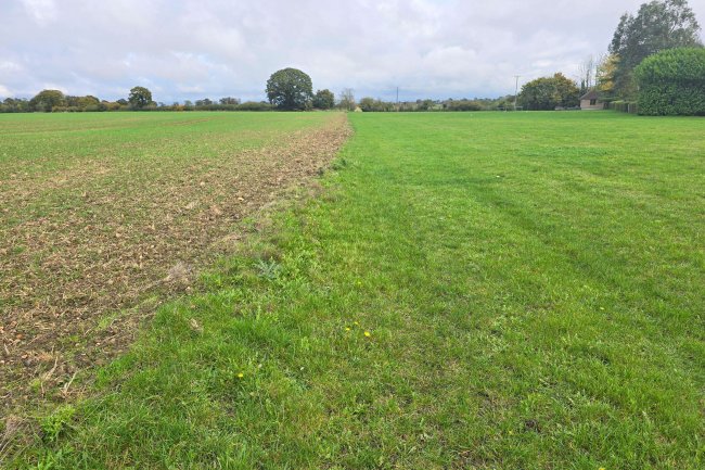 Land at Garnett’s Farm, Great Dunmow CM6 1NE 7