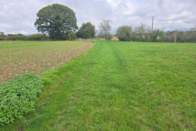 Land at Garnett’s Farm, Great Dunmow CM6 1NE 7