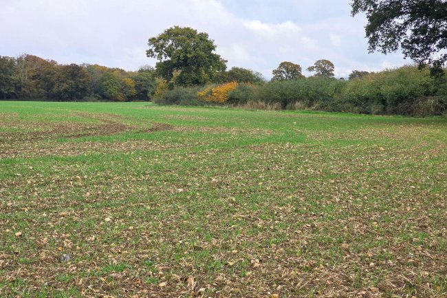 Land at Garnett’s Farm, Great Dunmow CM6 1NE 7