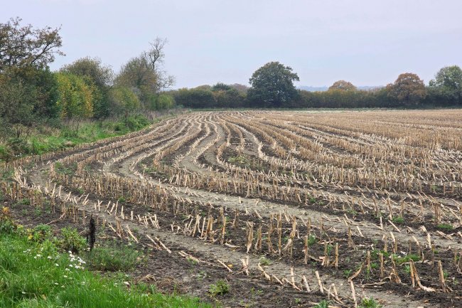 Land at Bincknoll Farm, Bincknoll Lane, Royal Wootton Bassett SN4 8QT 9