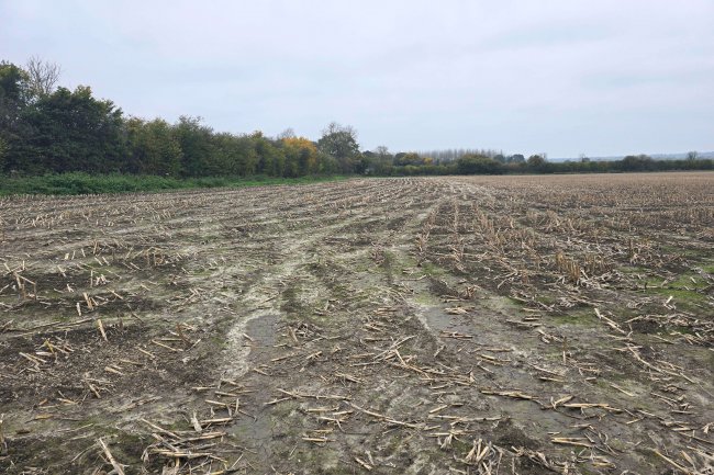 Land at Bincknoll Farm, Bincknoll Lane, Royal Wootton Bassett SN4 8QT 9