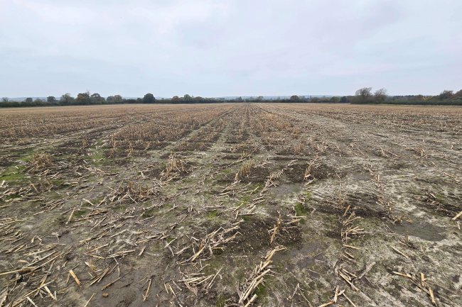 Land at Bincknoll Farm, Bincknoll Lane, Royal Wootton Bassett SN4 8QT 9