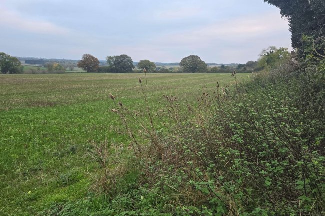 Land at Farndish, Wellingborough NN29 7HJ 1