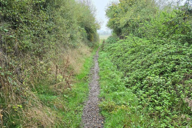 Land at Farndish, Wellingborough NN29 7HJ 1