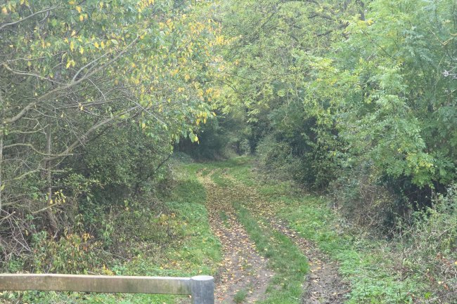 Land at Farndish, Wellingborough NN29 7HJ 1