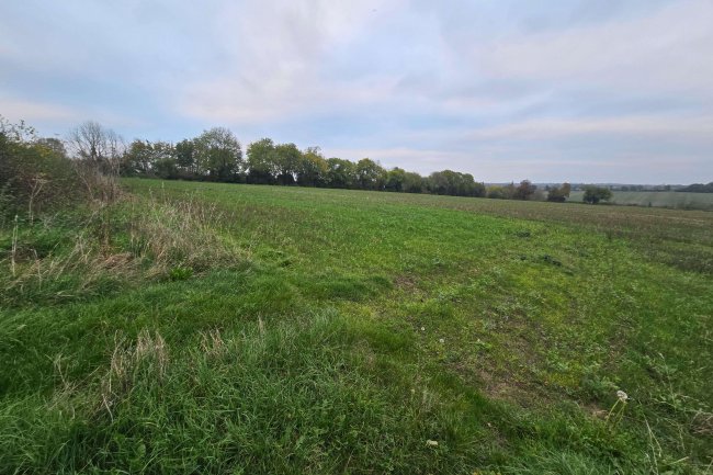 Land at Farndish, Wellingborough NN29 7HJ 1