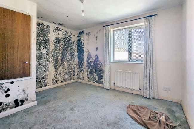 92 Antelope Road, Woolwich, London, SE18 5QT 7