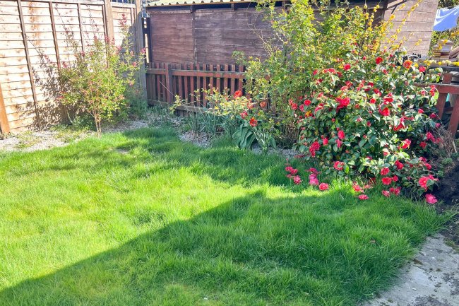 16 Mansfield Drive, Iwade, Kent, ME9 8TW 8