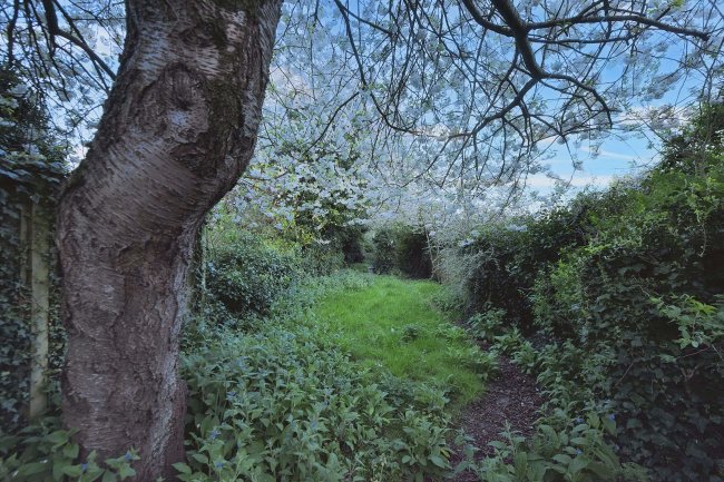 25 Richmond Road, Ipswich, IP1 4DW 3