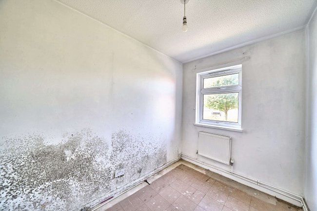 38 Little Grove, Bushey, Hertfordshire, WD23 3BG 1