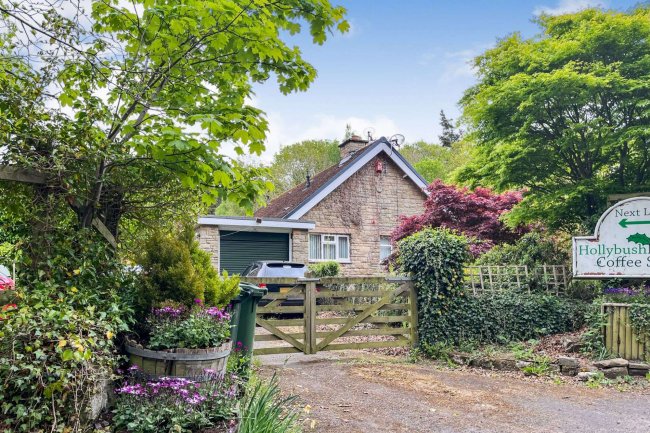 Hollybush Bungalow, Corbridge, Nr Hexham, NE46 1UD 5