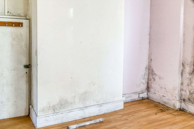 Flat 5, 1-11 Eastdown Court, Eastdown Park, Lewisham, London, SE13 5HU 1