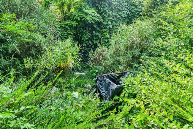 42 Greville Road, Walthamstow, London, E17 9HG 3