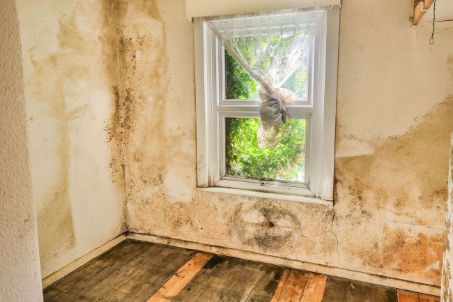 42 Greville Road, Walthamstow, London, E17 9HG 3