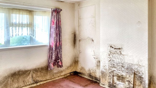 2 Eynsford Crescent, Bexley, DA5 3JD 3