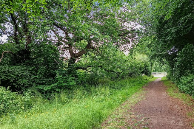 Land at Trendlewood Way, Nailsea, Bristol, Avon, BS48 4TG 5