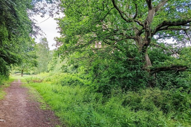 Land at Trendlewood Way, Nailsea, Bristol, Avon, BS48 4TG 5