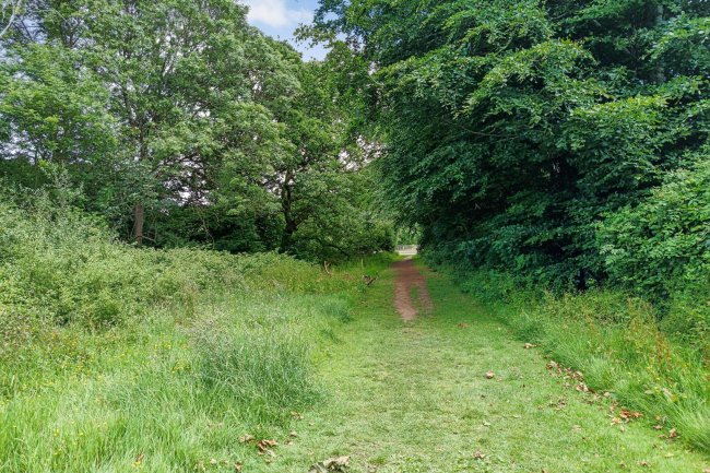 Land at Trendlewood Way, Nailsea, Bristol, Avon, BS48 4TG 5