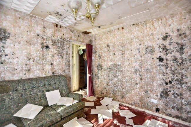 52 Churchmanor Way, Abbey Wood, London SE2 9HP 8