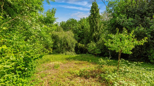 18 Cator Road, Sydenham, London, SE26 5DS 7