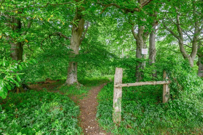 Land at Cleeve Hill, Cheltenham, GL54 4EU 4