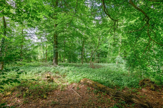 Land at Cleeve Hill, Cheltenham, GL54 4EU 4