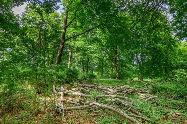 Land at Cleeve Hill, Cheltenham, GL54 4EU 4