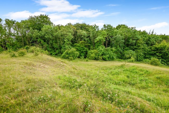 Land at Cleeve Hill, Cheltenham, GL54 4EU 4