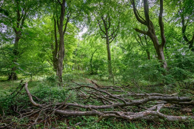 Land at Cleeve Hill, Cheltenham, GL54 4EU 4