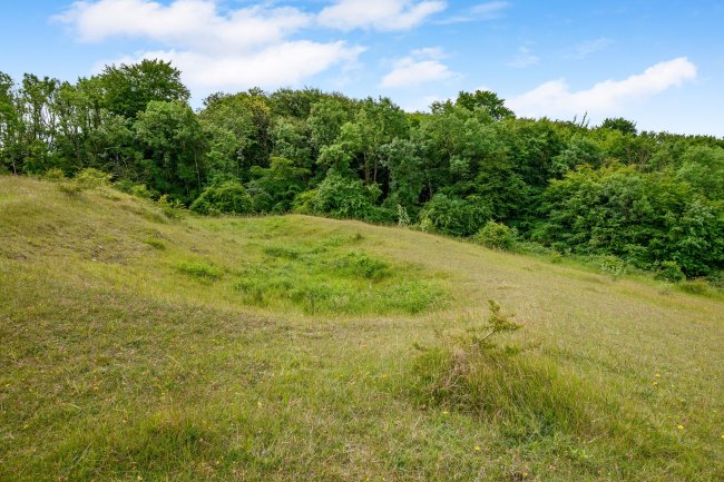 Land at Cleeve Hill, Cheltenham, GL54 4EU 4