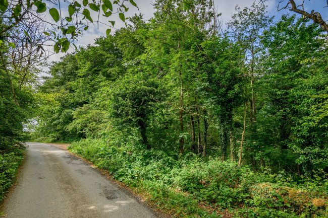 Land at Cleeve Hill, Cheltenham, GL54 4EU 4