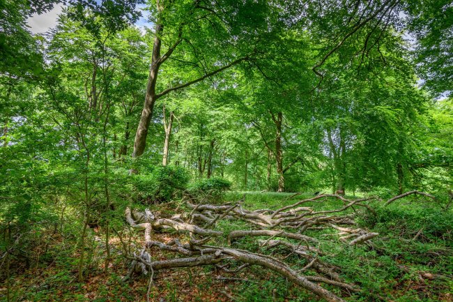 Land at Cleeve Hill, Cheltenham, GL54 4EU 4