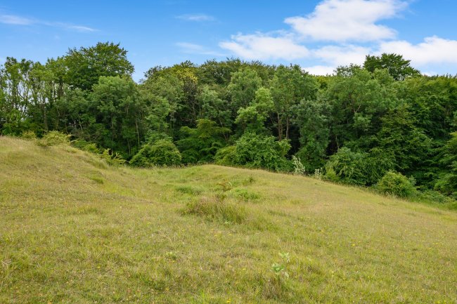 Land at Cleeve Hill, Cheltenham, GL54 4EU 4