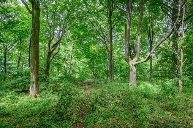 Land at Cleeve Hill, Cheltenham, GL54 4EU 4