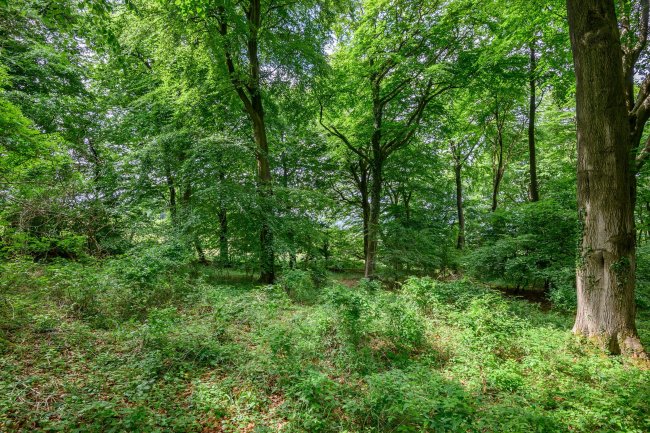 Land at Cleeve Hill, Cheltenham, GL54 4EU 4