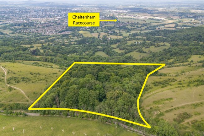 Land at Cleeve Hill, Cheltenham, GL54 4EU 4