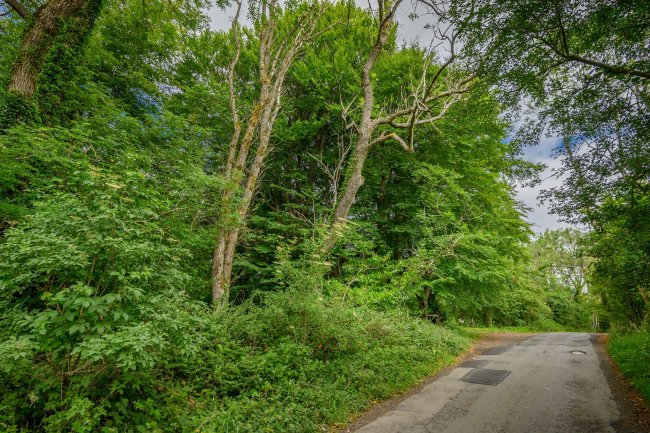 Land at Cleeve Hill, Cheltenham, GL54 4EU 4