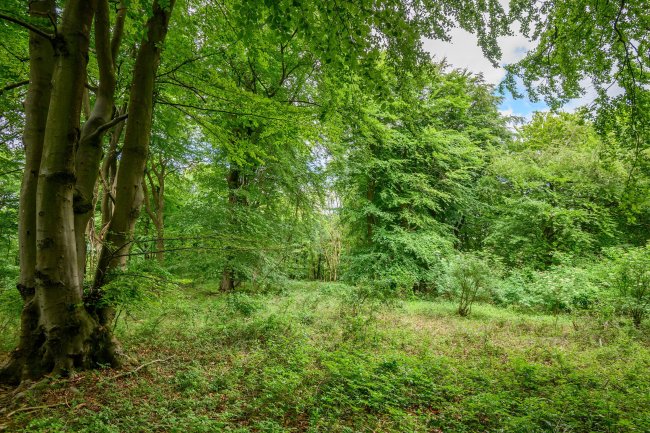 Land at Cleeve Hill, Cheltenham, GL54 4EU 4