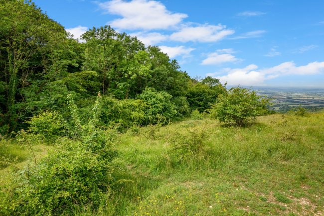Land at Cleeve Hill, Cheltenham, GL54 4EU 4