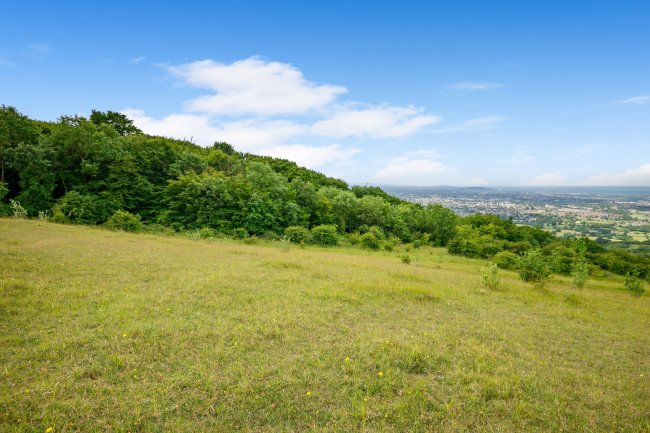 Land at Cleeve Hill, Cheltenham, GL54 4EU 4