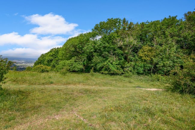 Land at Cleeve Hill, Cheltenham, GL54 4EU 4