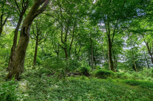 Land at Cleeve Hill, Cheltenham, GL54 4EU 4