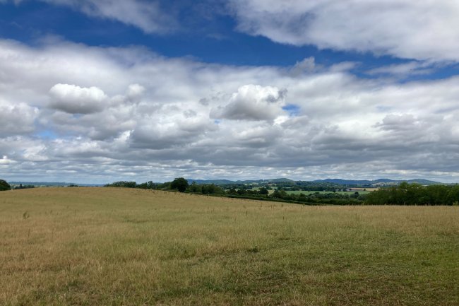 Farmland Adjacent to Boyce Court, Dymock, Nr Ledbury, GL18 2BG 2