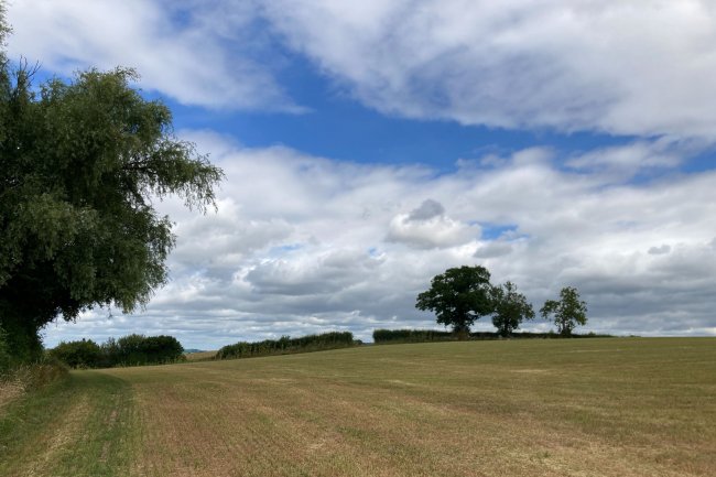 Farmland Adjacent to Boyce Court, Dymock, Nr Ledbury, GL18 2BG 2