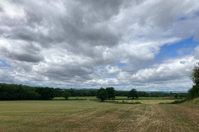 Farmland Adjacent to Boyce Court, Dymock, Nr Ledbury, GL18 2BG 2