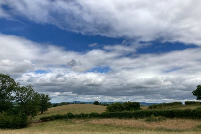 Farmland Adjacent to Boyce Court, Dymock, Nr Ledbury, GL18 2BG 2