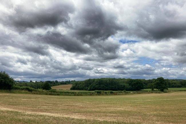 Farmland Adjacent to Boyce Court, Dymock, Nr Ledbury, GL18 2BG 2