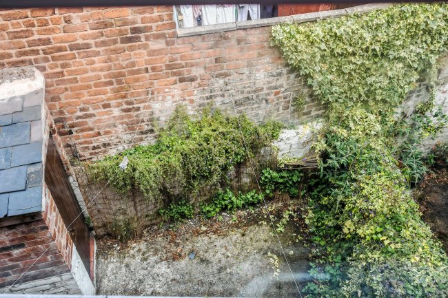 11 Christleton Road, Chester, Cheshire, CH3 5UF 7