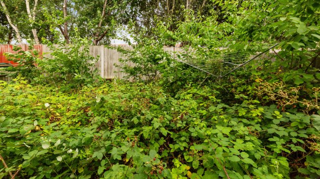 35 Imperial Road, Wood Green, London, N22 8QQ 2