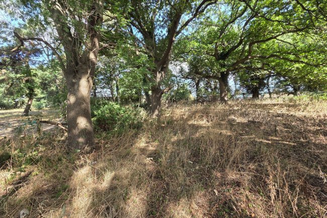 Land on the south side of Northaw Road West, Potters Bar, Hertfordshire, EN6 4QY 4